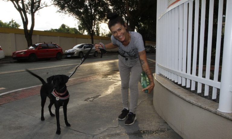 Moradores defendem multa por xixi de cães nas calçadas