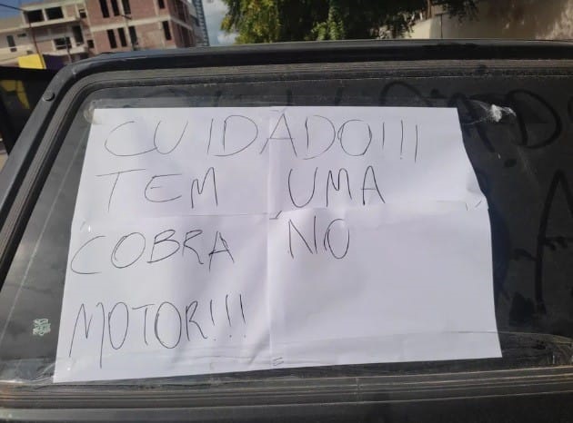 Mulher deixa recado para dono de carro após ver cobra entrar em motor de veículo