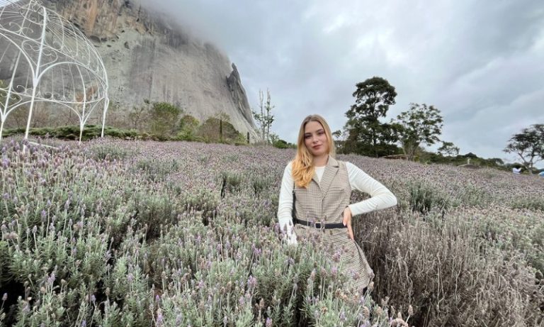 Novo lavandário atrai mais turistas em Pedra Azul