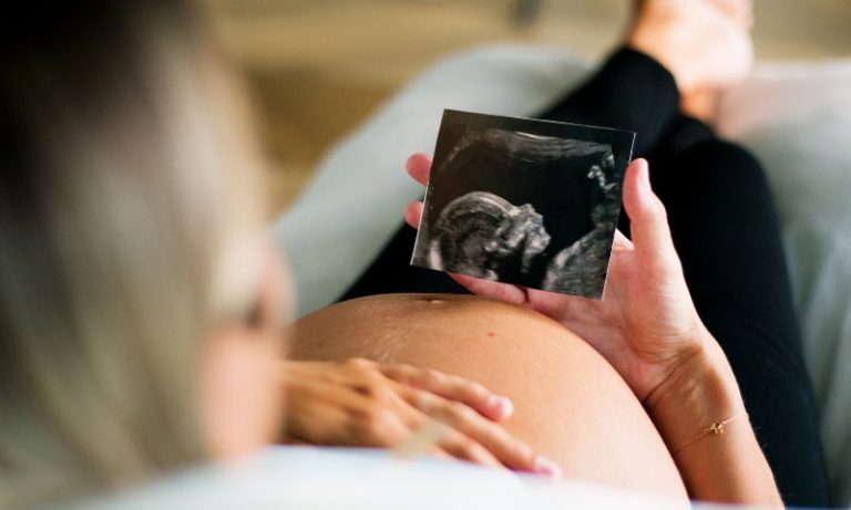 Opas faz alerta sobre possível transmissão do vírus oropouche da mãe para o bebê