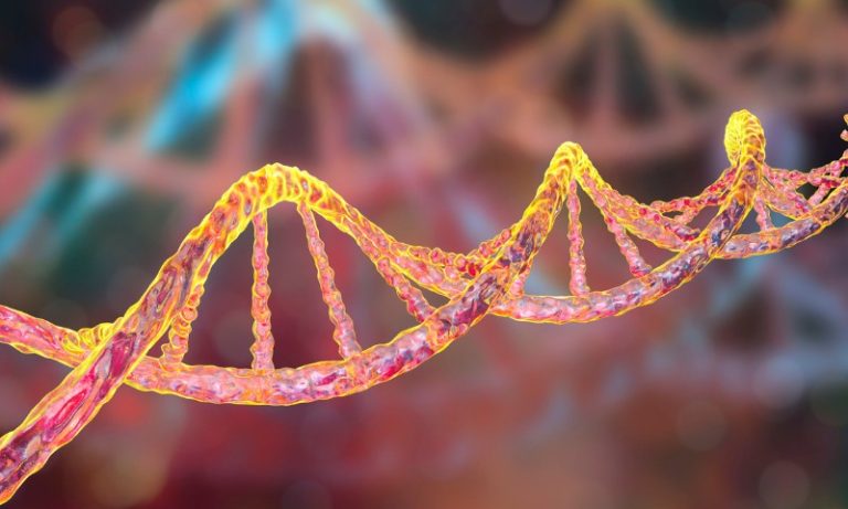 Pesquisadores identificam genes associados ao TDAH