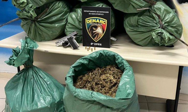 Polícia Civil apreende maconha de barão: produto vale R$ 5 mil por quilo