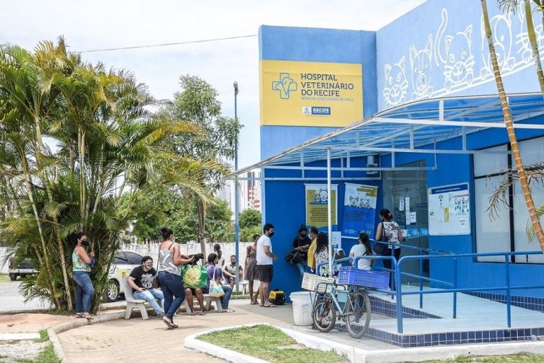 Prefeitura abre seleção para estágio obrigatório no Hospital Veterinário do Recife