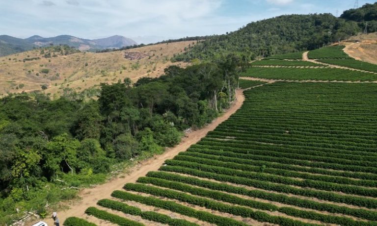 Produtor rural é multado em mais de R$ 100 mil por desmatamento ilegal no ES