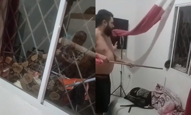 VÍDEO | Adolescente encontra jiboia na janela do quarto em Cariacica