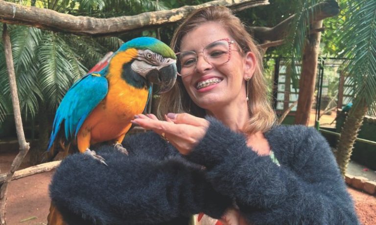 Animais ganham nova chance