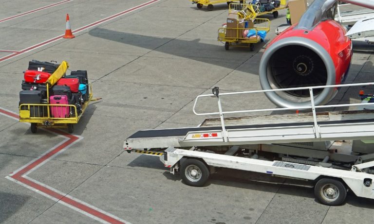 Bagageiro infestado de baratas faz avião retornar com as malas dos passageiros