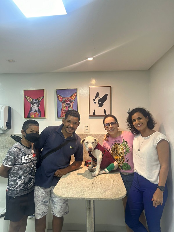 Cãozinho sobrevivente de trágico acidente é entregue à família de vítima fatal