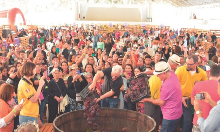 Festa com shows e pisa da uva no ES