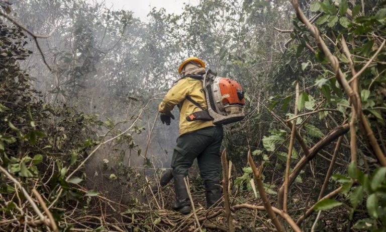 Governo Lula quer proibição do fogo e crédito extraordinário para Amazônia