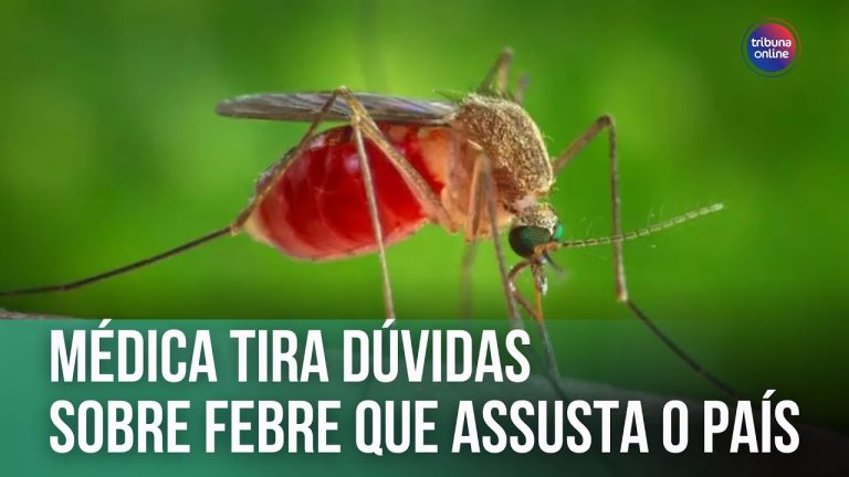Médica tira dúvidas sobre febre do Oropouche | Fala, Doutora!