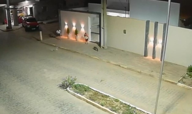 Menina de 3 anos atacada por raposa no Agreste de Pernambuco. Veja o vídeo