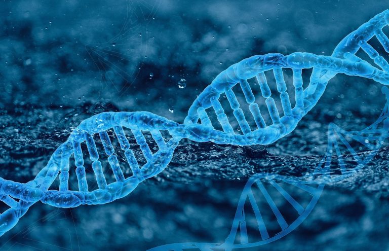 Ministério da Justiça vai usar DNA para ajudar buscas de desaparecidos