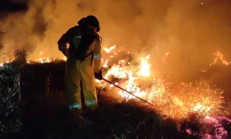 PF abre dois inquéritos para investigar suposta ação criminosa em incêndios em SP