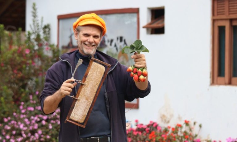 Morango é o rei da festa em Domingos Martins
