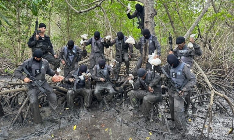 Polícia Militar apreende drogas escondidas em área de manguezal em Cariacica
