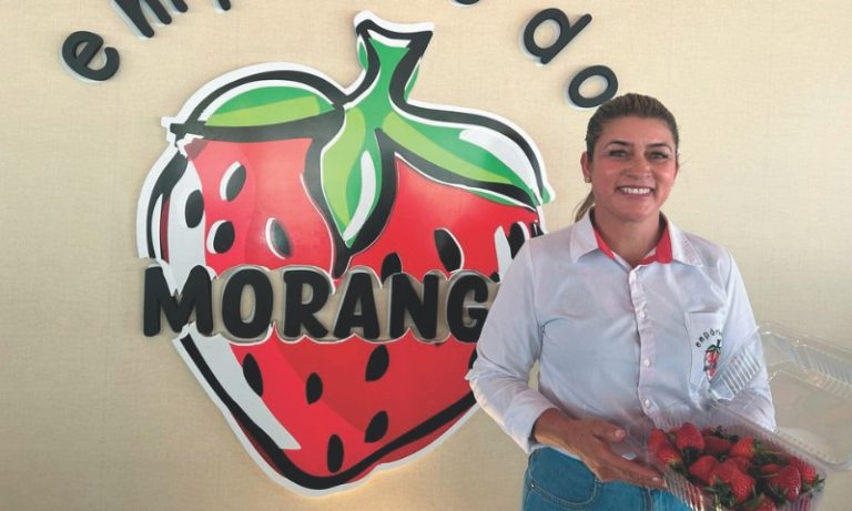 Roteiro de belezas e delícias em Castelo
