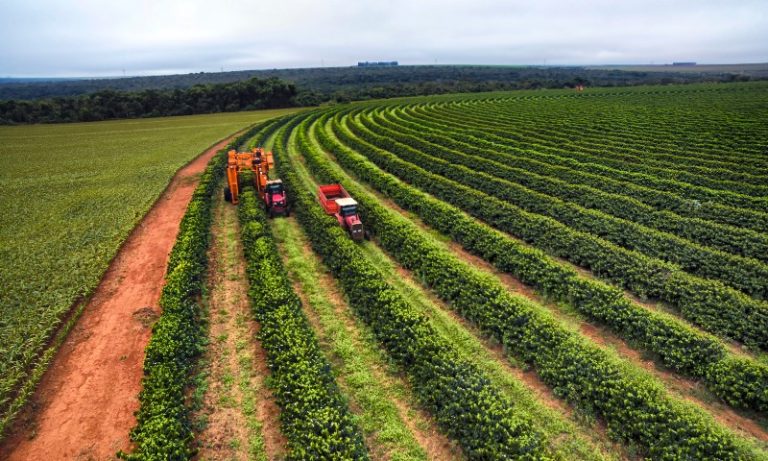 Agronegócio do ES exportou mais de US$ 1,8 bilhão nos sete primeiros meses de 2024