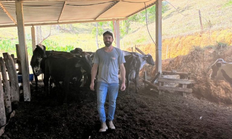 38 cidades do ES têm mais bois do que moradores