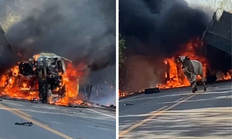 Acidente entre carro e caminhão de gado deixa uma pessoa morta em rodovia do ES