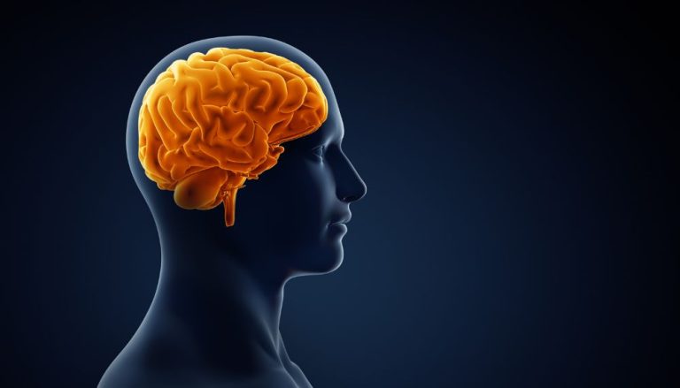 Casos de AVC aumentaram 70% em 30 anos, mostra estudo