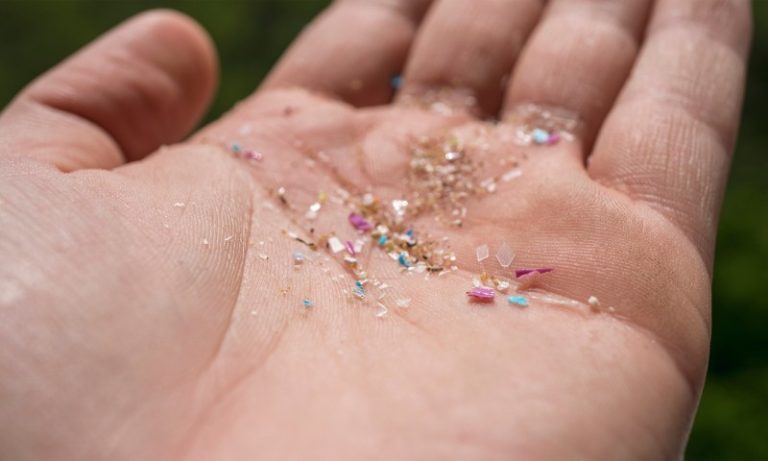 Cientistas encontram microplásticos no cérebro humano
