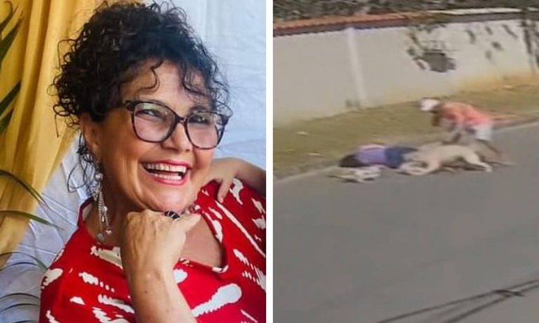Cozinheira morre após ataque de cachorro na Serra