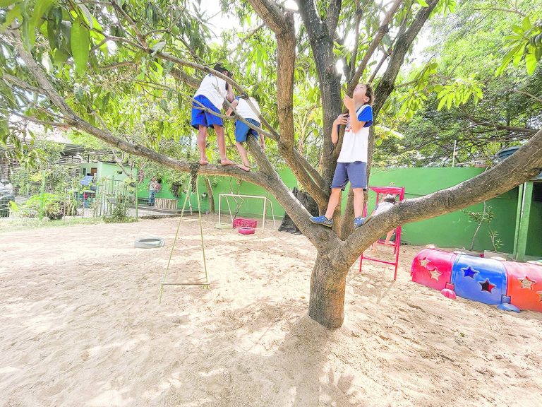 Crianças conectadas à natureza no coração da Praia do Canto em Vitória ES