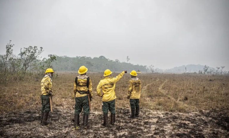 Dino autoriza Lula a usar crédito fora da meta fiscal no combate a incêndios