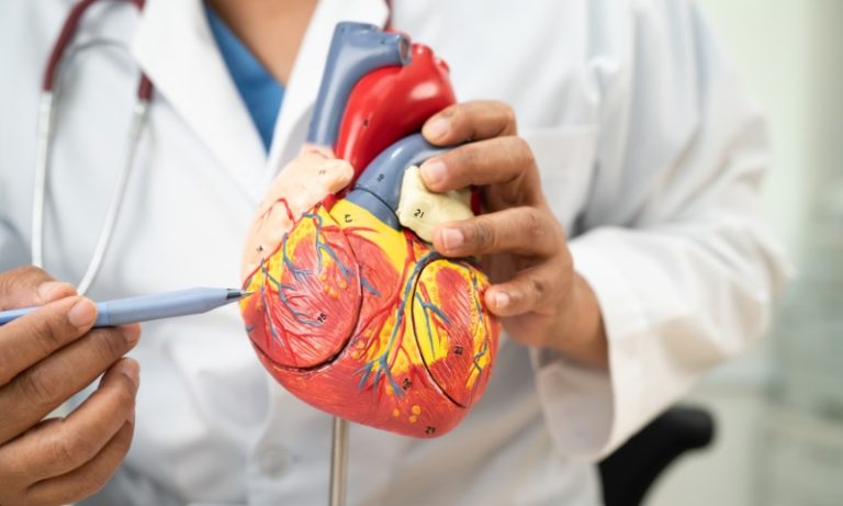 Doenças cardiovasculares matam 400 mil brasileiros por ano