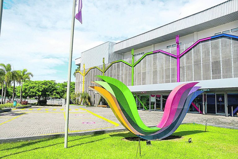 Escola e famílias ajudam na escolha da carreira ideal
