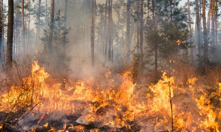 Queimadas tornam ar insalubre do Norte ao Sul do Brasil