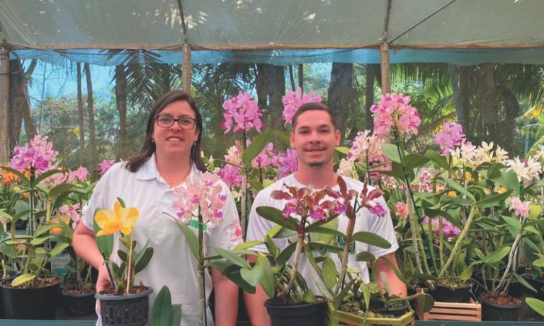 Feira com mais de 5 mil orquídeas nas montanhas