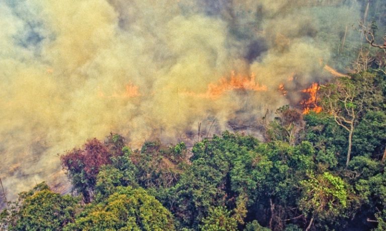 Fumaça de incêndios recordes na Amazônia chegam ao Sul