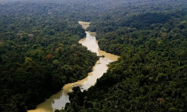 Governo processa fazendeiros em R$ 635 milhões por danos climáticos na Amazônia