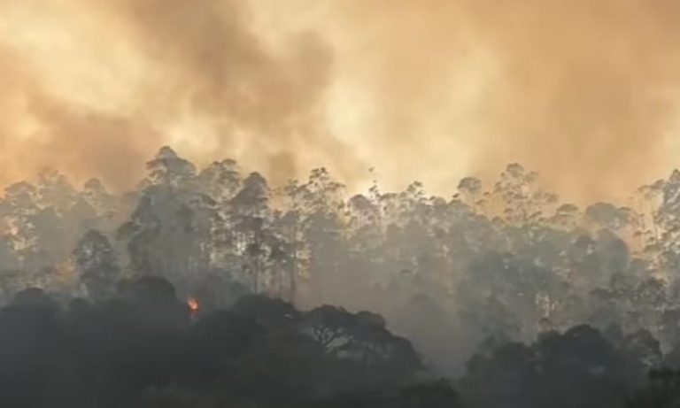 Homem é detido após incêndio queimar área equivalente a 10 campos de futebol no ES