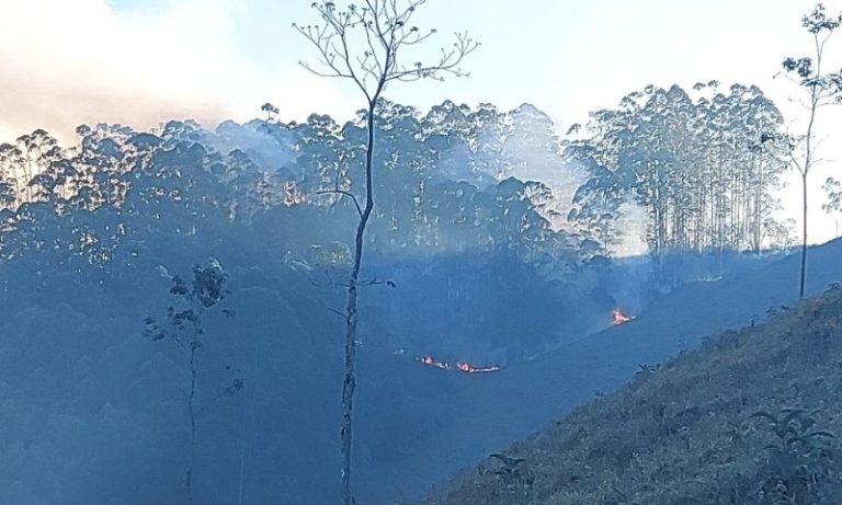 Homem é preso suspeito de provocar incêndio em Domingos Martins