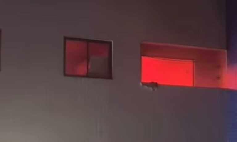 Homem esquece panela no fogão e apartamento pega fogo em João Pessoa