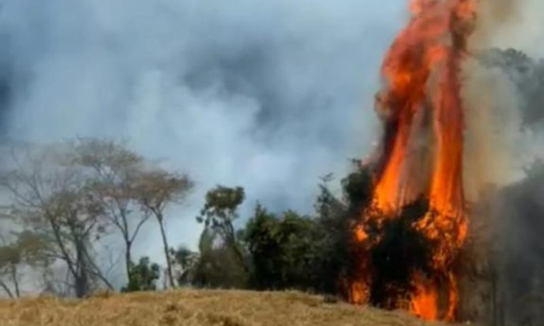 Incêndio destrói mais de 100 hectares em propriedades no Sul do ES