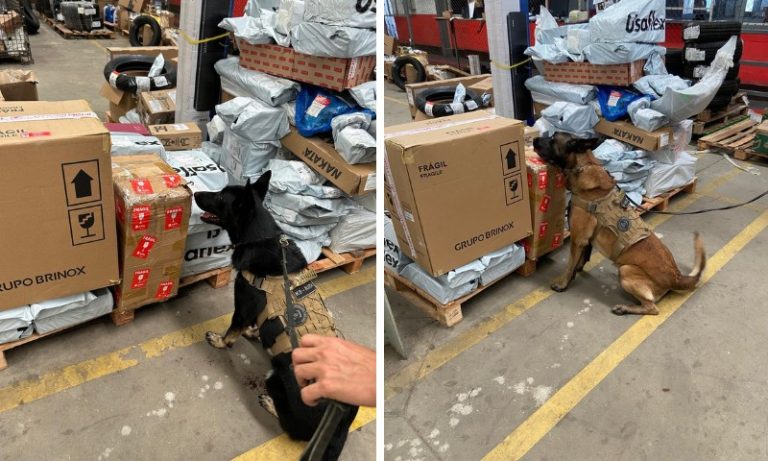 PF apreende 30 kg de maconha em galpão de empresa de envio de mercadorias no ES