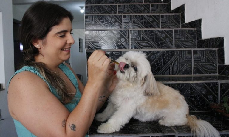 Cannabis medicinal é usada em tratamentos para cães e gatos no ES