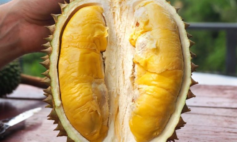 Como a fruta-cadáver ajuda economia do Espírito Santo