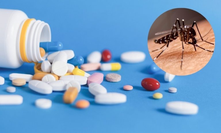 Medicamento oral contra a dengue vai ser testado no País