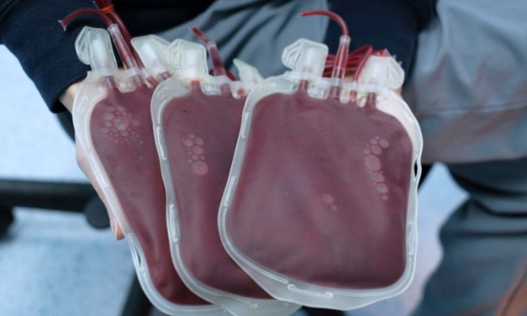 SP tem três casos prováveis de transmissão de dengue por meio de transfusões