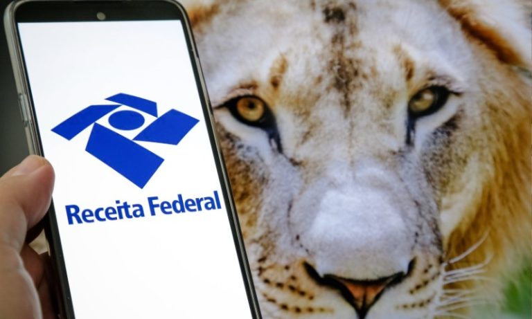Veja como pagar a diferença no Imposto de Renda ao enviar declaração retificada