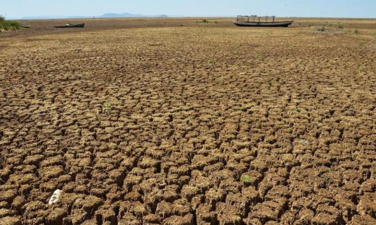 Sertão nordestino pode ensinar amazônia a lidar com a seca, diz pesquisador