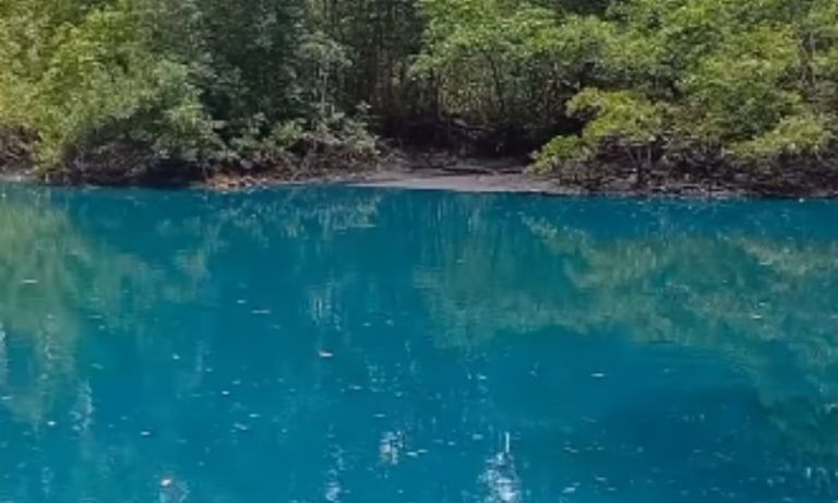 Água fica azul em manguezal de Vitória e preocupa moradores