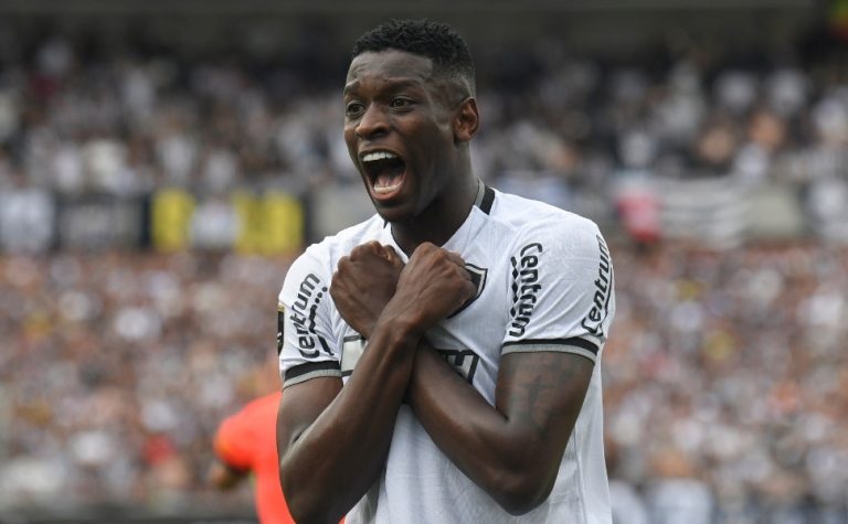 Luiz Henrique: o herói do Fogão na final da Libertadores