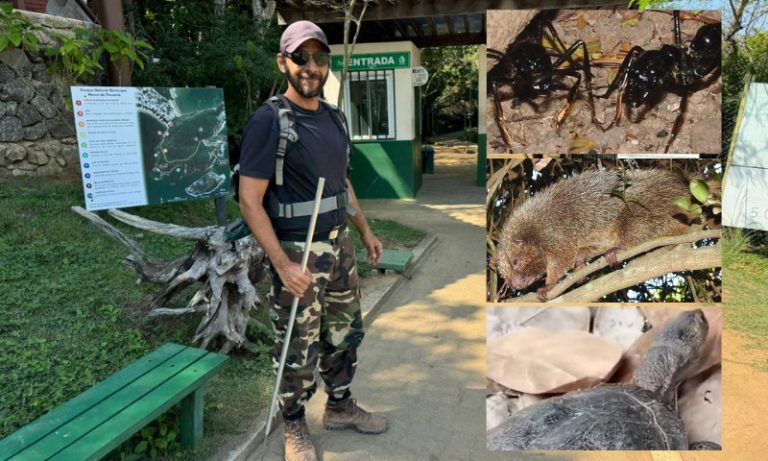 Novas descobertas de animais ameaçados