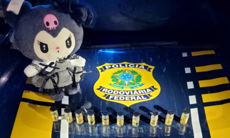Polícia encontra anabolizantes paraguaios escondidos em bicho de pelúcia no ES